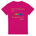 A bright pink (Helconia) shirt with a row of rainbow colored Christmas trees with the words, "Pride is my favorite Holiday Season. It's a wonderful time to be queer".